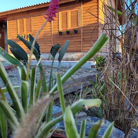 Casa Teka Urubici Villa Eksteriør billede